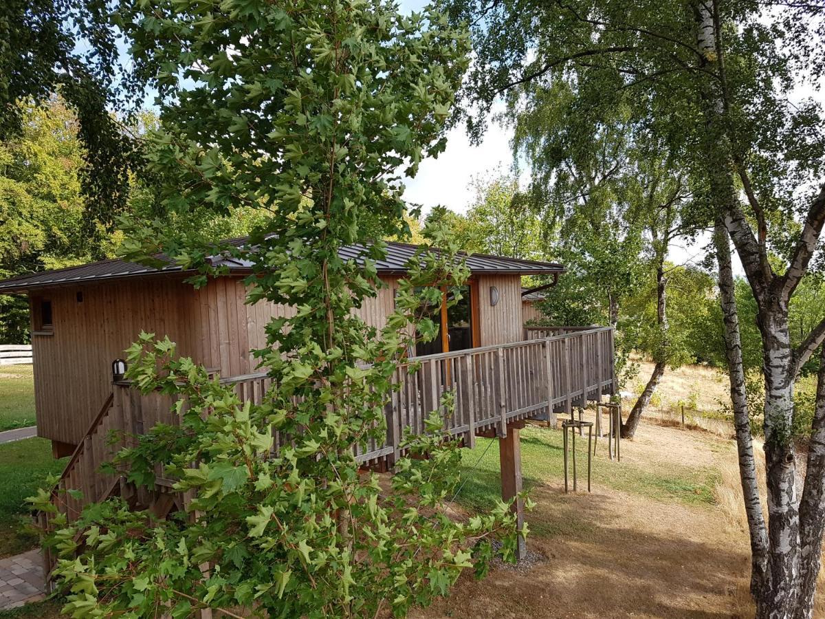 Hotel Waldquelle - Baumhaushotel Aerzen Kültér fotó