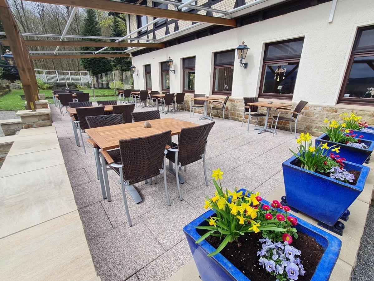 Hotel Waldquelle - Baumhaushotel Aerzen Kültér fotó