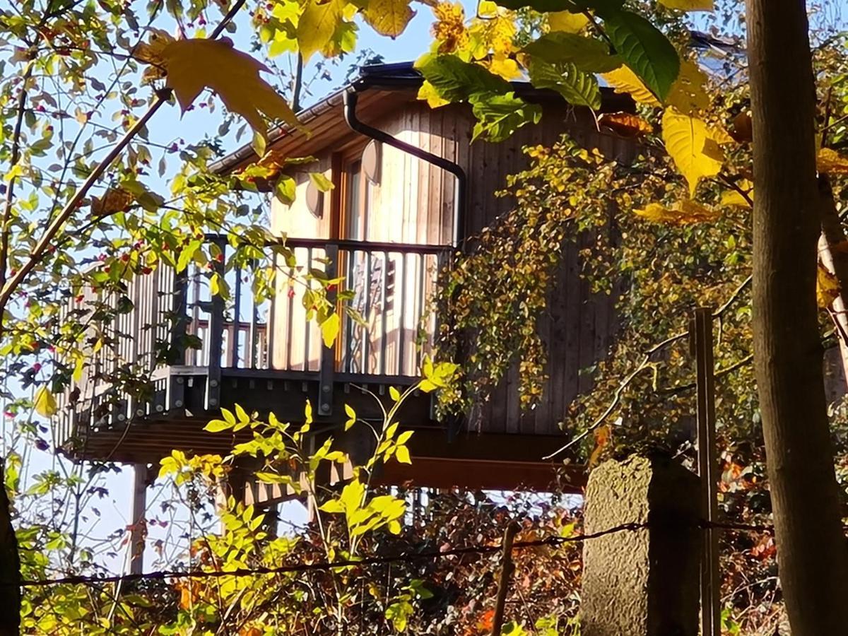 Hotel Waldquelle - Baumhaushotel Aerzen Kültér fotó