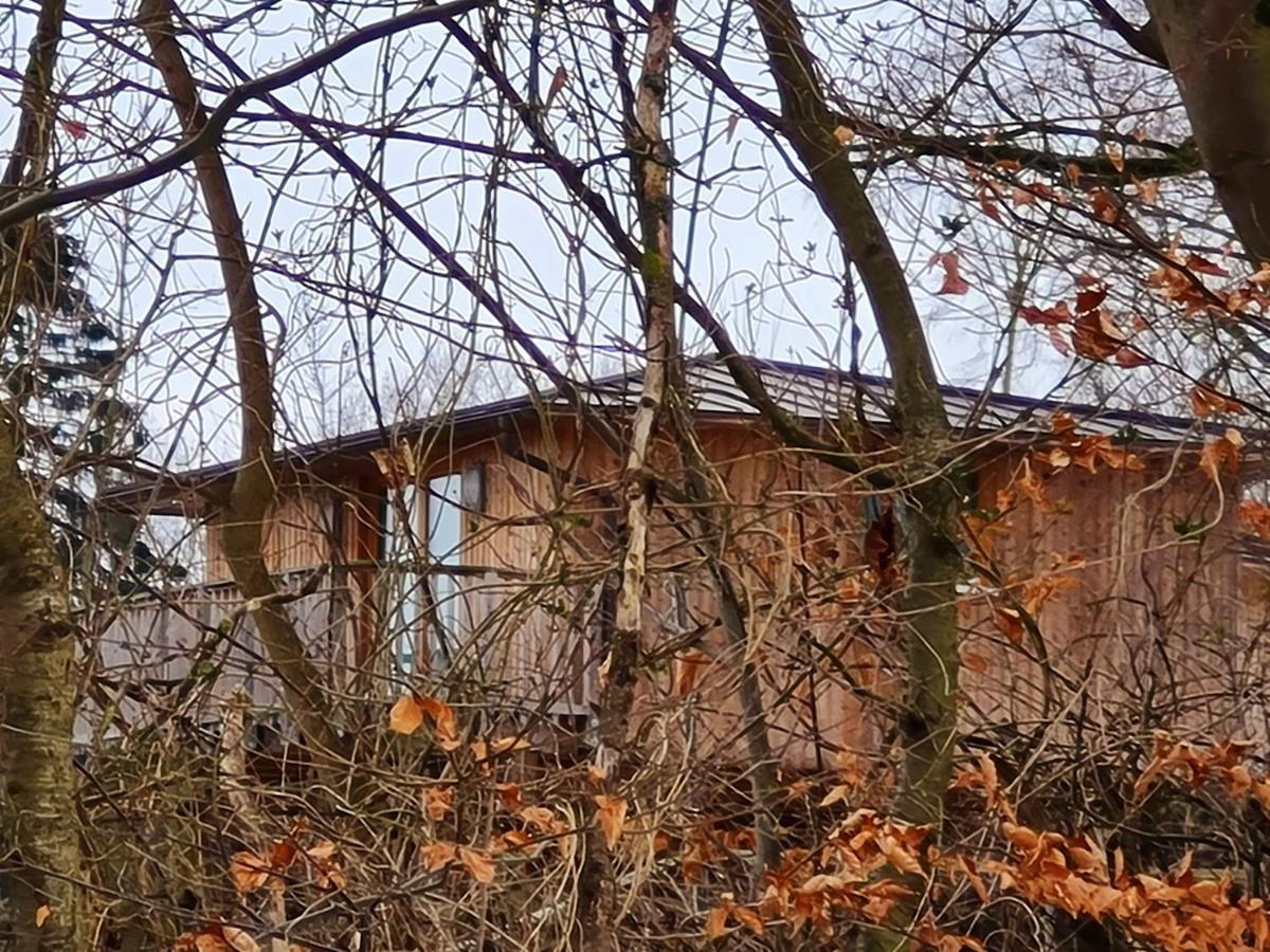 Hotel Waldquelle - Baumhaushotel Aerzen Kültér fotó