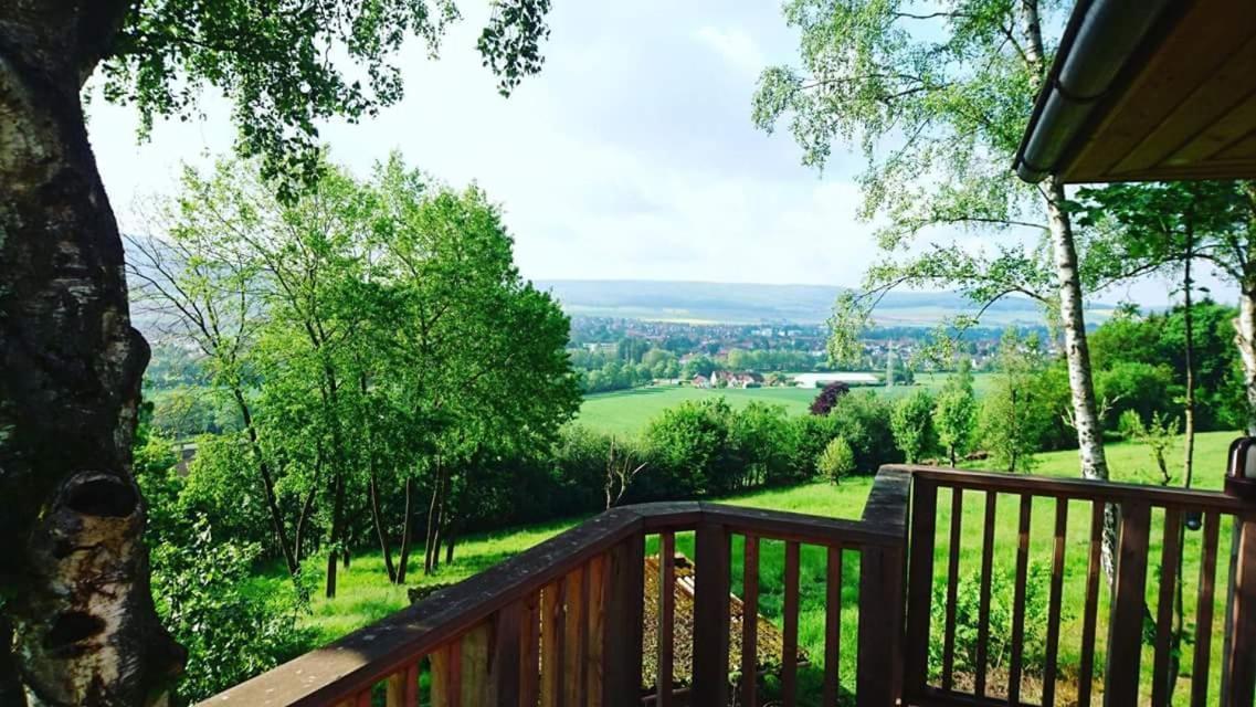 Hotel Waldquelle - Baumhaushotel Aerzen Kültér fotó